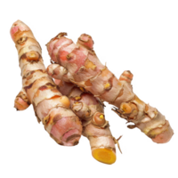curcuma transparent background png