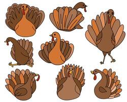 Set of turkeys in doodle style, cute birds symbolizing Thanksgiving Day in various poses vector
