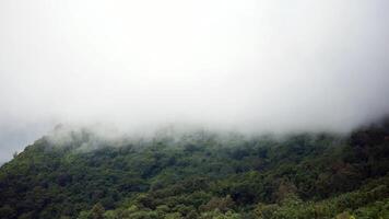 The mist flows through the mountain forest, Sun shining into tropical forest, Mist drifts through mountain ridges in the morning, slow floating fog blowing cover on the top of mountain video