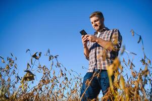Agronomist inspecting soya bean crops growing in the farm field. Agriculture production concept. young agronomist examines soybean crop on field in summer. Farmer on soybean field photo