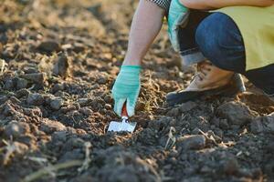 Gloved hands and shovels shovel the soil.A hand in a white gardening glove works with a tool. photo