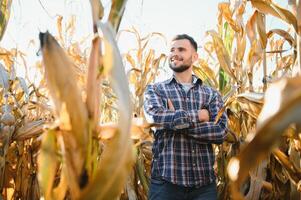 Agronomist checking corn if ready for harvest. Portrait of farmer. photo