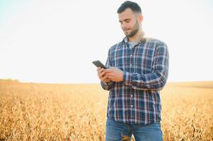 agronomist or farmer examining crop of soybeans field. photo