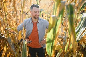 A man inspects a corn field and looks for pests. Successful farmer and agro business photo