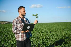 Agronomist inspecting soya bean crops growing in the farm field. Agriculture production concept. young agronomist examines soybean crop on field in summer. Farmer on soybean field photo