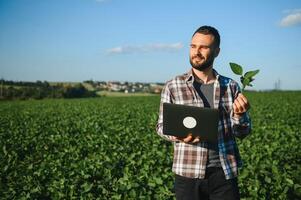 Young handsome agriculture engineer squatting in soybean field with laptop in hands in early summer photo