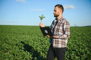 Young handsome agriculture engineer squatting in soybean field with laptop in hands in early summer photo
