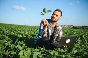 Young handsome agriculture engineer squatting in soybean field with laptop in hands in early summer photo