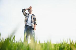 Portrait of senior farmer standing in wheat field examining crop during the day. photo