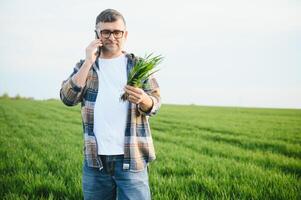 Portrait of senior farmer standing in green wheat field. photo