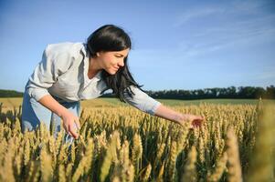 Woman farmer in a wheat field at sunset. photo