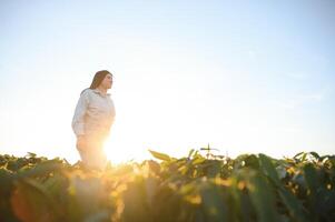 Female farmer or agronomist examining green soybean plants in field photo