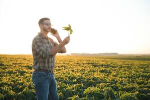 A cute farmer is standing in a soybean field and talking on the phone with his business partner. photo