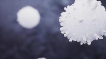 Lymphocytes and biological immune system, 3d rendering. video