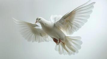 Majestic White Dove Soars Gracefully in Bright Light Against a Serene White Background. photo