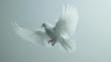 Majestic White Dove Soaring Gracefully Against a Bright Sky in the Midday Sun. photo