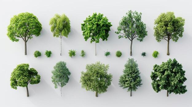Diverse Selection of Green Trees Displayed in a Row on White Background. photo
