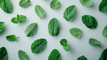 Fresh Mint Leaves Artfully Arranged on a Bright White Background for Culinary Inspiration. photo