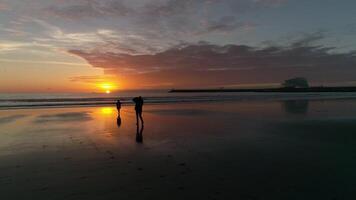 Beach at sunset video