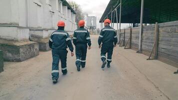 Engineers walk around the territory and communicate. Rear view. Employees of the company in special clothes and protective jackets inspect the territory of the enterprise. video