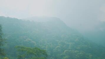 Misty Green Hills in a Tranquil Landscape video