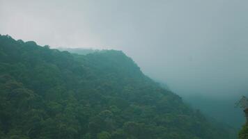 Misty Mountain Landscape with Dense Foliage video