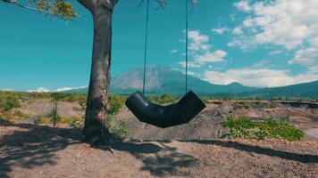 Swing Under a Tree with Mountain View video
