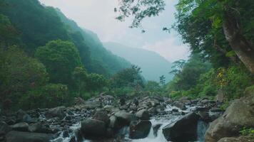Tranquil River Landscape in Misty Mountains video