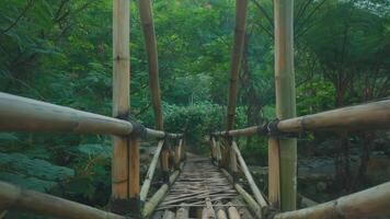 Serene Bamboo Bridge in Lush Greenery video