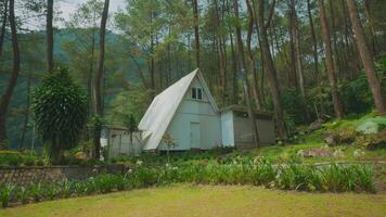 Charming A-Frame Cabin in Serene Forest video