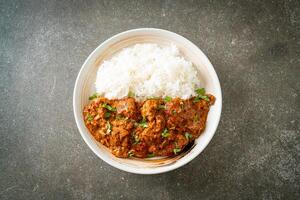 chicken tikka masala with rice on plate photo