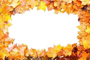 Frame of colorful bright fall maple autumn leaves photo