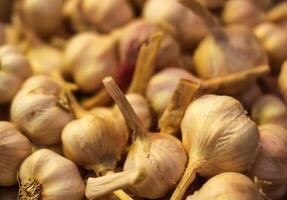 Fresh garlic cloves background. photo