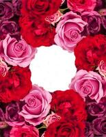 Beautiful floral frame of red and pink roses. photo