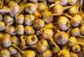 Fresh garlic cloves background. photo