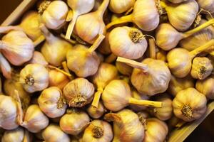 Fresh garlic cloves background. photo
