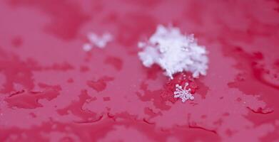 Snowflakes during the snowfall on glass surface photo