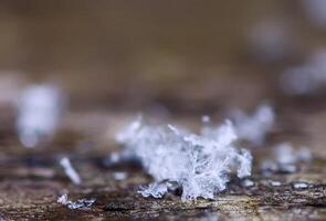 Snowflakes during the snowfall on glass surface photo
