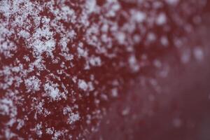 Snowflakes during the snowfall on glass surface photo