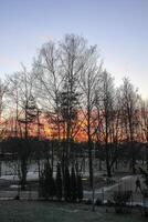 Winter day in Latvia, Europe. Scenic nature view. Sunset light. photo