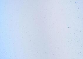 Blurred winter photo overlay. Empty space. Light background with fluffy flying snowflakes.