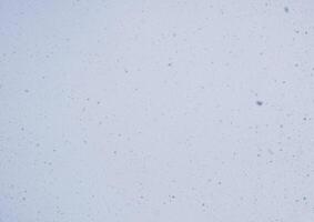 Blurred winter photo overlay. Empty space. Light background with fluffy flying snowflakes.