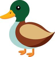 Duck Illustration Design vector