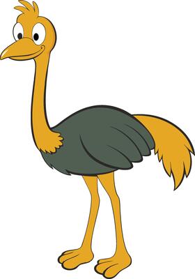 Bird Illustration Design