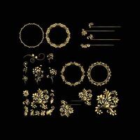 Golden calligraphic design elements on black background. vector