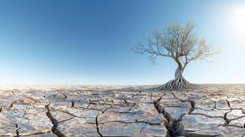 Lonely tree is standing in the desert with its roots gripping the dry, cracked earth photo