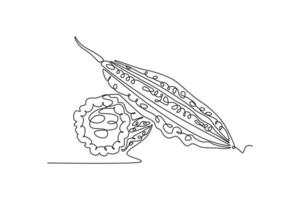 Continuous one line drawing whole and sliced healthy organic bitter gourd for garden logo identity. Fresh Indonesian pare concept for veggie icon. Single line draw design graphic illustration vector