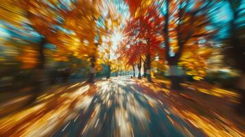 Sunlight creating radial blur effect through colorful autumn tree canopy photo