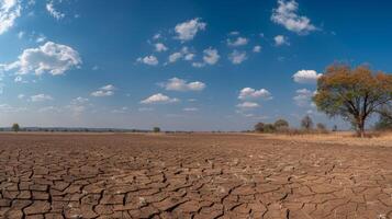 Endless stretches of dry cracked earth with a solitary tree standing as a symbol of the harsh environment photo
