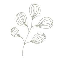 Autumn leaf outline. Hand drawn element for autumn decorative design, halloween invitation, harvest or thanksgiving. vector